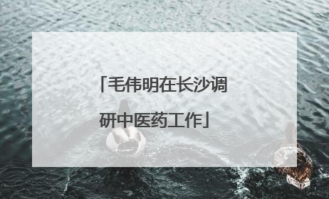 毛伟明在长沙调研中医药工作