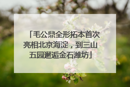 毛公鼎全形拓本首次亮相北京海淀，到三山五园邂逅金石潍坊