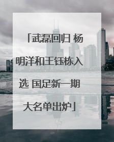 武磊回归 杨明洋和王钰栋入选 国足新一期大名单出炉
