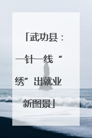 武功县：一针一线“绣”出就业新图景