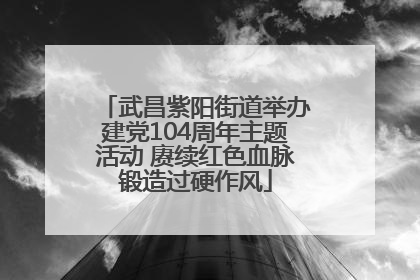 武昌紫阳街道举办建党104周年主题活动 赓续红色血脉锻造过硬作风