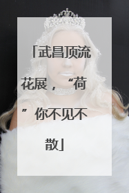 武昌顶流花展，“荷”你不见不散