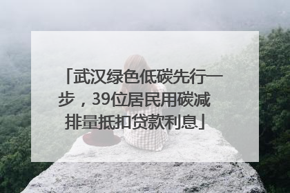 武汉绿色低碳先行一步，39位居民用碳减排量抵扣贷款利息