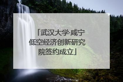 武汉大学·咸宁低空经济创新研究院签约成立
