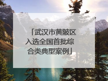 武汉市黄陂区入选全国首批综合类典型案例