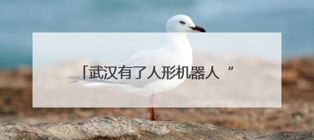 武汉有了人形机器人“学校”，“人形机器人进家庭，这是第一步”