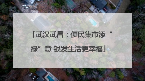 武汉武昌：便民集市添“绿”意 银发生活更幸福