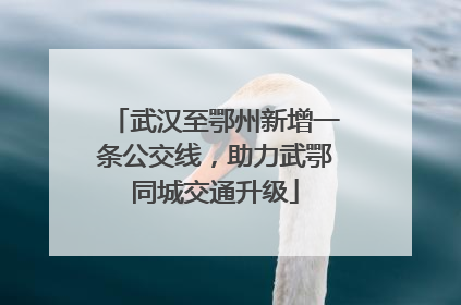 武汉至鄂州新增一条公交线，助力武鄂同城交通升级