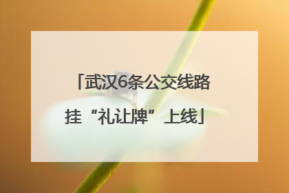 武汉6条公交线路挂“礼让牌”上线