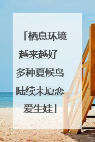 栖息环境越来越好 多种夏候鸟陆续来厦恋爱生娃