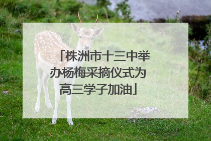 株洲市十三中举办杨梅采摘仪式为高三学子加油