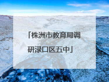 株洲市教育局调研渌口区五中
