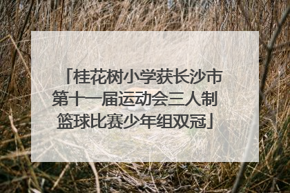 桂花树小学获长沙市第十一届运动会三人制篮球比赛少年组双冠