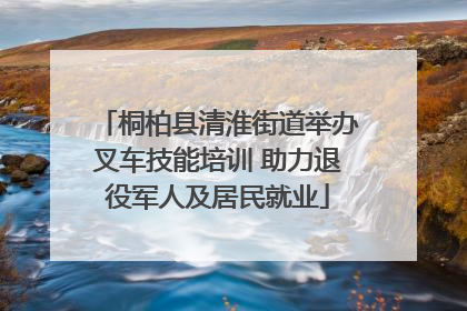 桐柏县清淮街道举办叉车技能培训 助力退役军人及居民就业