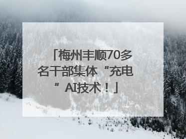 梅州丰顺70多名干部集体“充电”AI技术！
