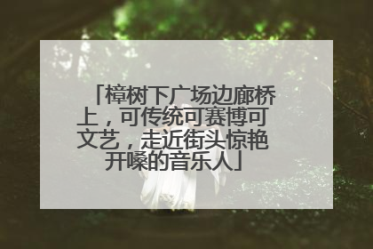 樟树下广场边廊桥上，可传统可赛博可文艺，走近街头惊艳开嗓的音乐人