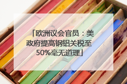 欧洲议会官员：美政府提高钢铝关税至50%毫无道理