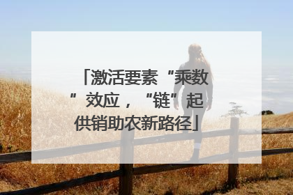 激活要素“乘数”效应，“链”起供销助农新路径