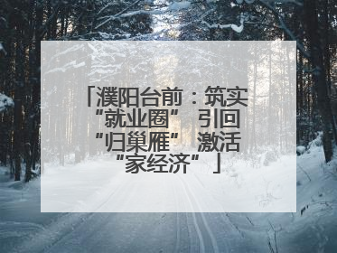濮阳台前：筑实“就业圈” 引回“归巢雁” 激活“家经济”