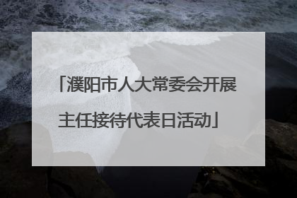 濮阳市人大常委会开展主任接待代表日活动