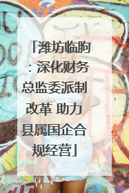 潍坊临朐：深化财务总监委派制改革 助力县属国企合规经营