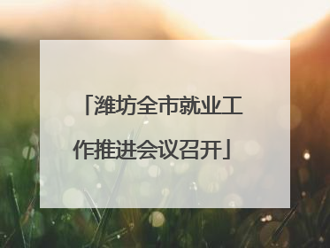 潍坊全市就业工作推进会议召开