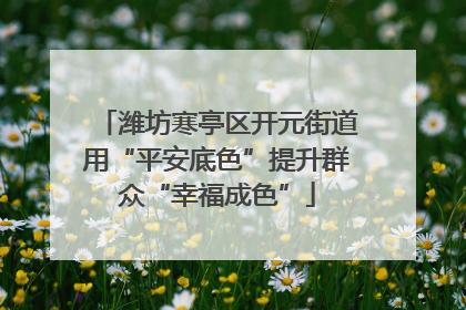 潍坊寒亭区开元街道用“平安底色”提升群众“幸福成色”