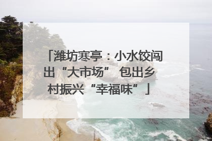 潍坊寒亭：小水饺闯出“大市场” 包出乡村振兴“幸福味”