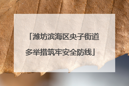 潍坊滨海区央子街道多举措筑牢安全防线