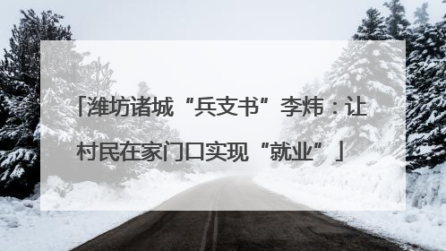 潍坊诸城“兵支书”李炜：让村民在家门口实现“就业”