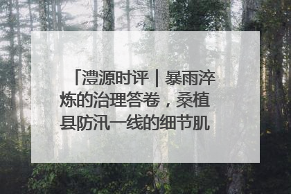 澧源时评｜暴雨淬炼的治理答卷，桑植县防汛一线的细节肌理与体系力量