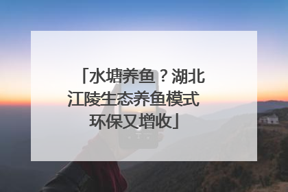 水塘养鱼？湖北江陵生态养鱼模式环保又增收