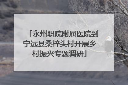 永州职院附属医院到宁远县桑梓头村开展乡村振兴专题调研