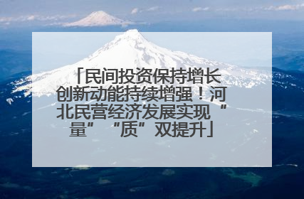 民间投资保持增长 创新动能持续增强！河北民营经济发展实现“量”“质”双提升