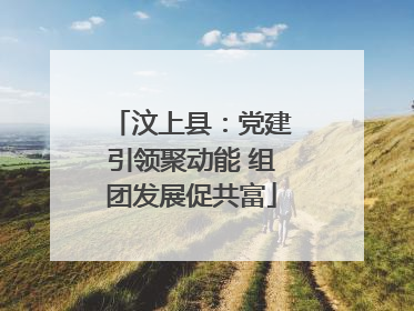 汶上县：党建引领聚动能 组团发展促共富