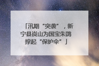 汛期“突袭”，新宁县崀山为国宝朱鹮撑起“保护伞”