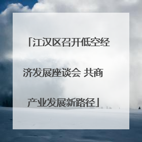 江汉区召开低空经济发展座谈会 共商产业发展新路径