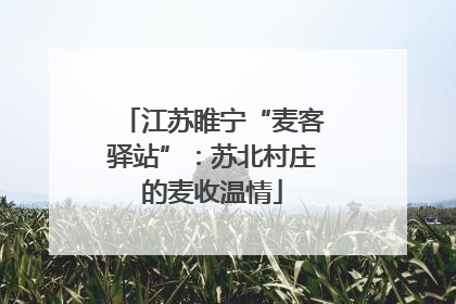 江苏睢宁“麦客驿站”：苏北村庄的麦收温情