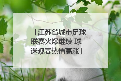 江苏省城市足球联赛火爆继续 球迷观赛热情高涨