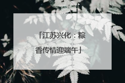 江苏兴化：粽香传情迎端午