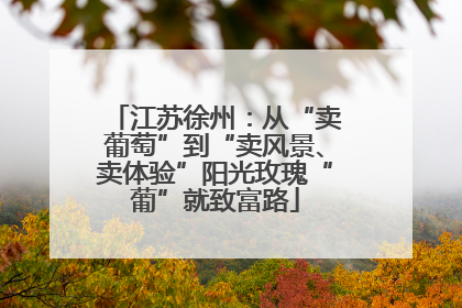 江苏徐州：从“卖葡萄”到“卖风景、卖体验”阳光玫瑰“葡”就致富路