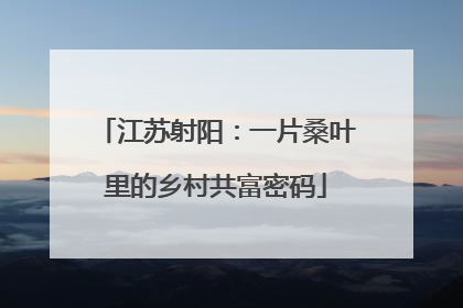 江苏射阳：一片桑叶里的乡村共富密码