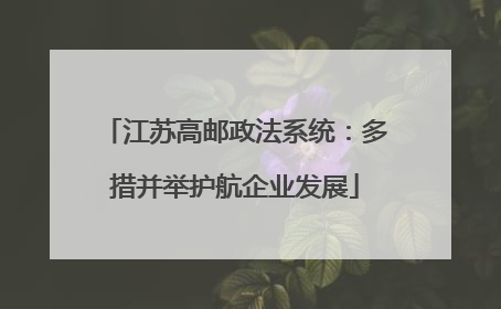 江苏高邮政法系统：多措并举护航企业发展