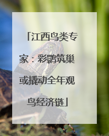 江西鸟类专家：彩鹮筑巢或撬动全年观鸟经济链