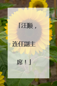 汪顺，连任副主席！