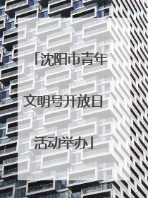 沈阳市青年文明号开放日活动举办