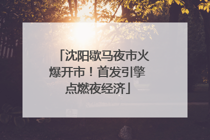 沈阳歇马夜市火爆开市！首发引擎点燃夜经济