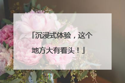 沉浸式体验，这个地方大有看头！
