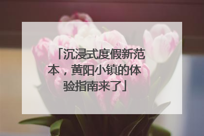 沉浸式度假新范本，黄阳小镇的体验指南来了