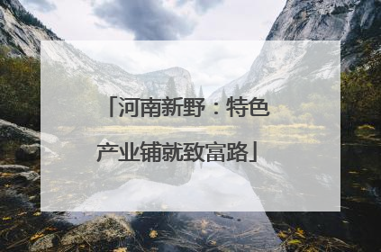 河南新野：特色产业铺就致富路